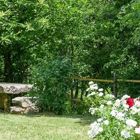 Casa Corona * Labin (Istria)